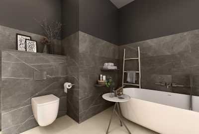 Ceramin Tiles 40×120