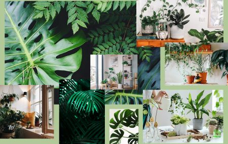 Dżungla we wnętrzu