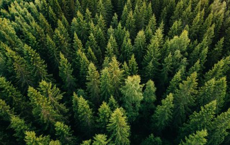 Floors For A Better Tomorrow: CLASSEN is a pioneer in climate protection in the flooring industry